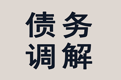 临清清债公司